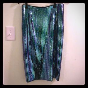Sequins skirt - very fancy - dressed up or down!